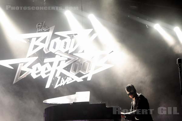 THE BLOODY BEETROOTS - 2013-07-05 - BELFORT - Presqu'ile du Malsaucy - 